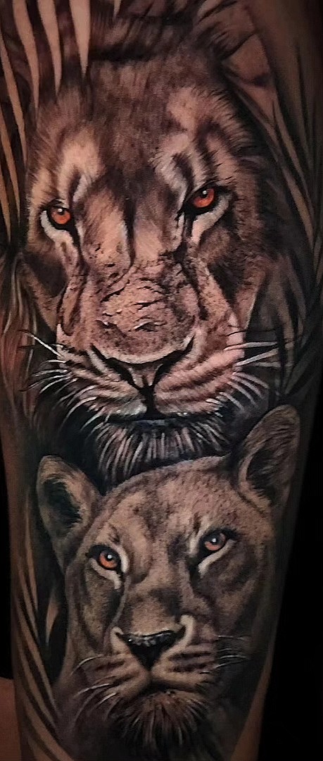 Tatuaje de leon